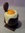 œuf chocolat noir fourré praliné et billes croustillantes